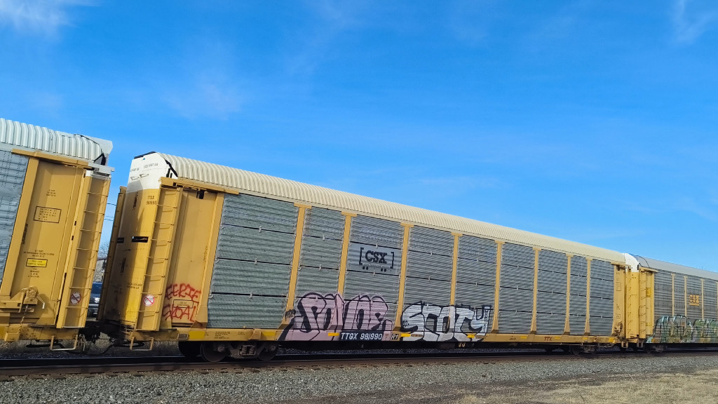 CSX B3203 (Body) TTGX 981990 (Flat)